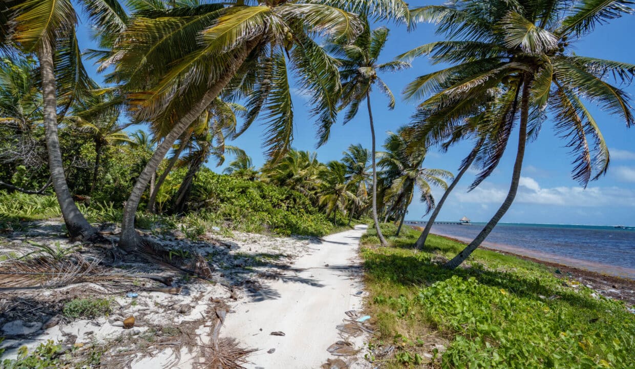 3020Acres2086220ft20beachfront20Island20Real20Estate20Ambergris20Caye20010