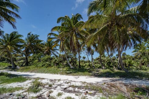 3020Acres2086220ft20beachfront20Island20Real20Estate20Ambergris20Caye20011-1