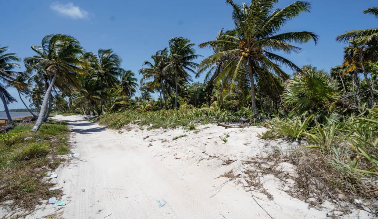 3020Acres2086220ft20beachfront20Island20Real20Estate20Ambergris20Caye20014