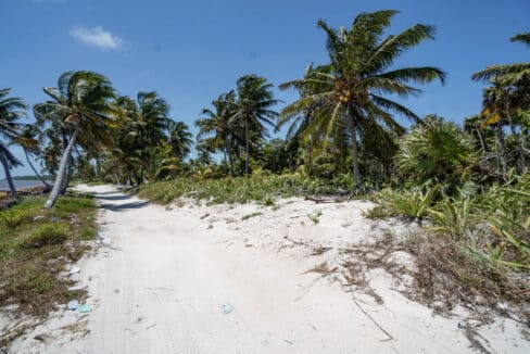 3020Acres2086220ft20beachfront20Island20Real20Estate20Ambergris20Caye20014