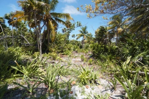 3020Acres2086220ft20beachfront20Island20Real20Estate20Ambergris20Caye20015