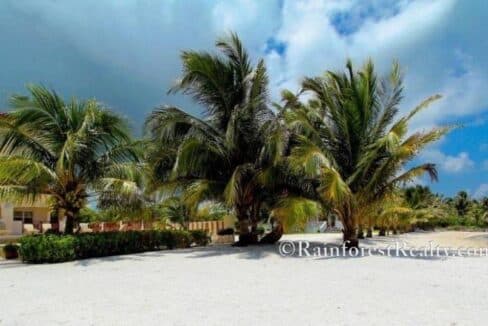 Miramar-Penthouse-Ambergris-Caye31