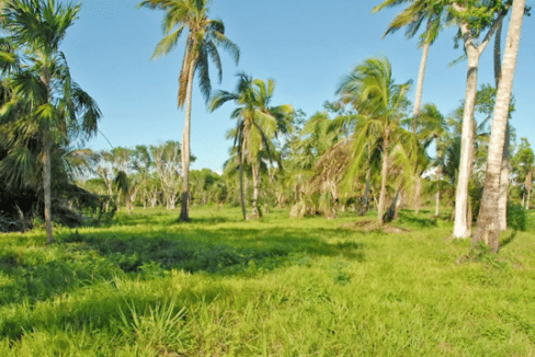 Lot-for-Sale-Belize-Real-Estates-Heaven-Point-1