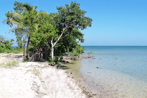 Lot-for-Sale-Belize-Real-Estates-Heaven-Point-2