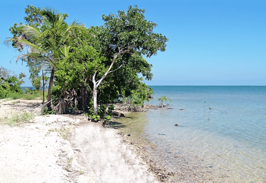 Lot-for-Sale-Belize-Real-Estates-Heaven-Point-2