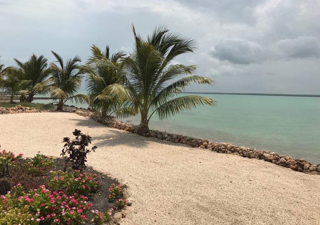 Beachside landscaped