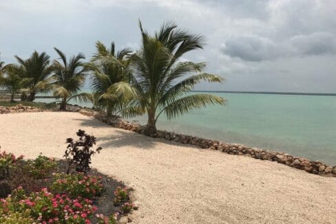 Beachside landscaped