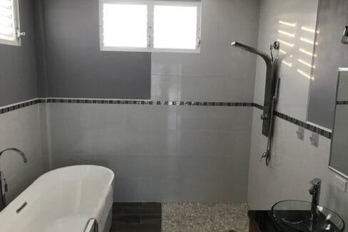 Master bath shower