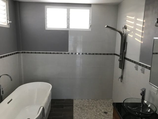 Master bath shower