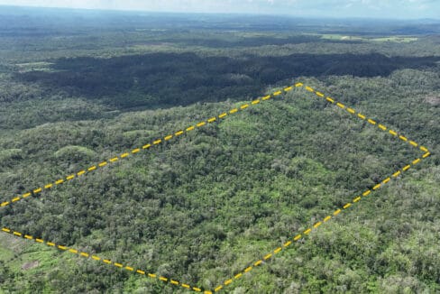 10020Acres20Hill20Cayo20Belize2002