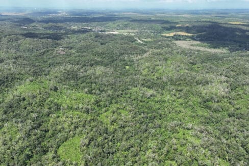 10020Acres20Hill20Cayo20Belize2006