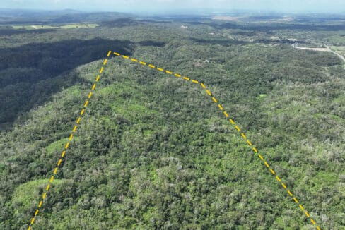 10020Acres20Hill20Cayo20Belize2007