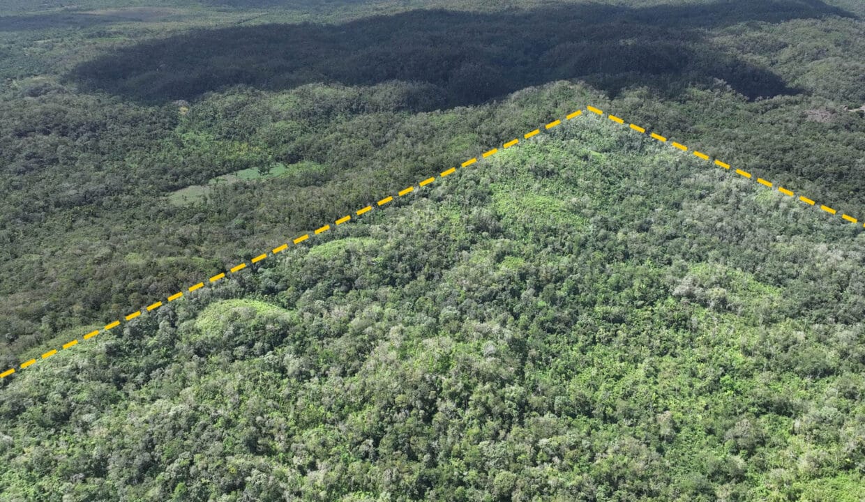 10020Acres20Hill20Cayo20Belize2008