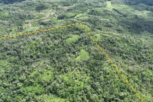 10020Acres20Hill20Cayo20Belize2012