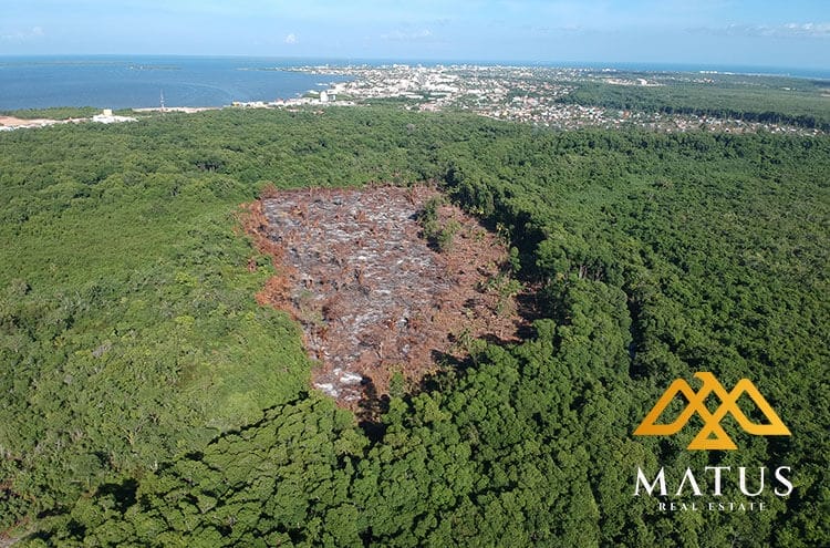 15-Acres-of-Undeveloped-Land-Located-within-Belize-City-Limits-1