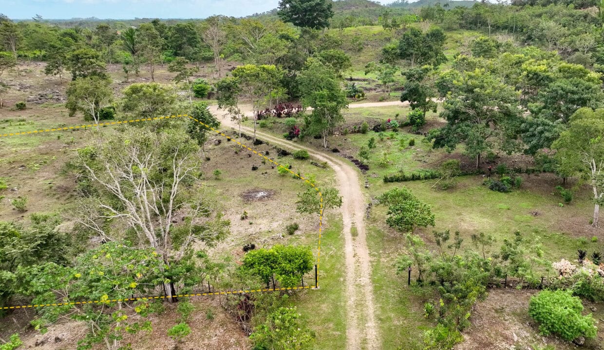 220Acre20Hummingbird20Highway20Lot20Belmopan20Subdivision2008