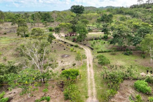 220Acre20Hummingbird20Highway20Lot20Belmopan20Subdivision2008