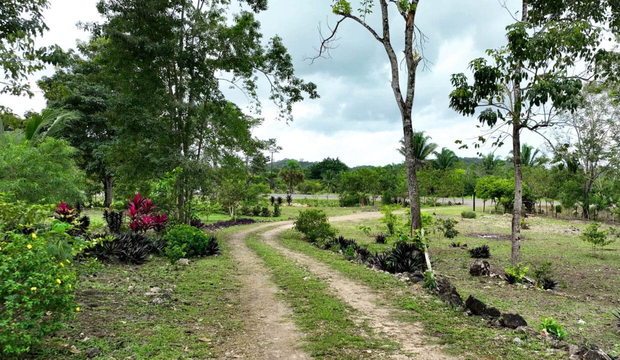 220Acre20Hummingbird20Highway20Lot20Belmopan20Subdivision2009