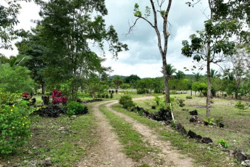 220Acre20Hummingbird20Highway20Lot20Belmopan20Subdivision2009