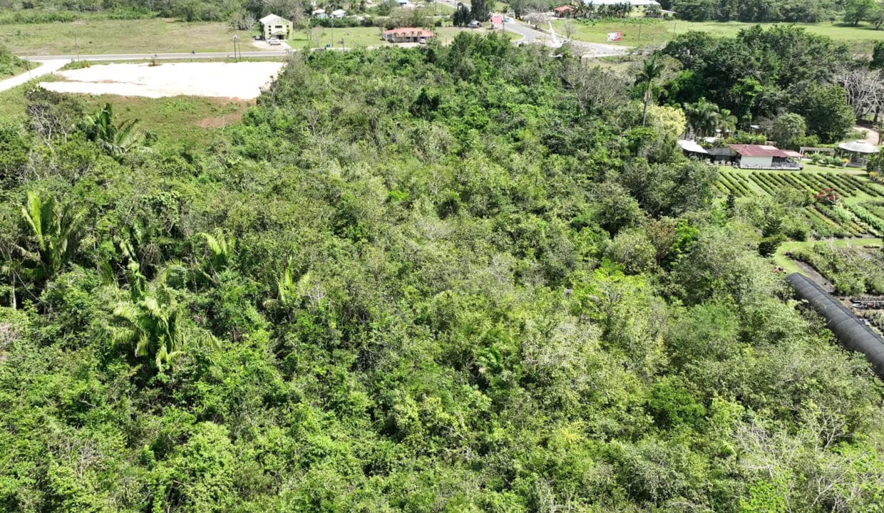 620Acre20Commercial20Land20Belmopan20City20Hummingbird20Highway2012