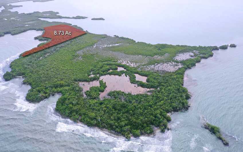 8-Acres-on-Rocky-Point-For-Sale-Toledo-Belize-848x530