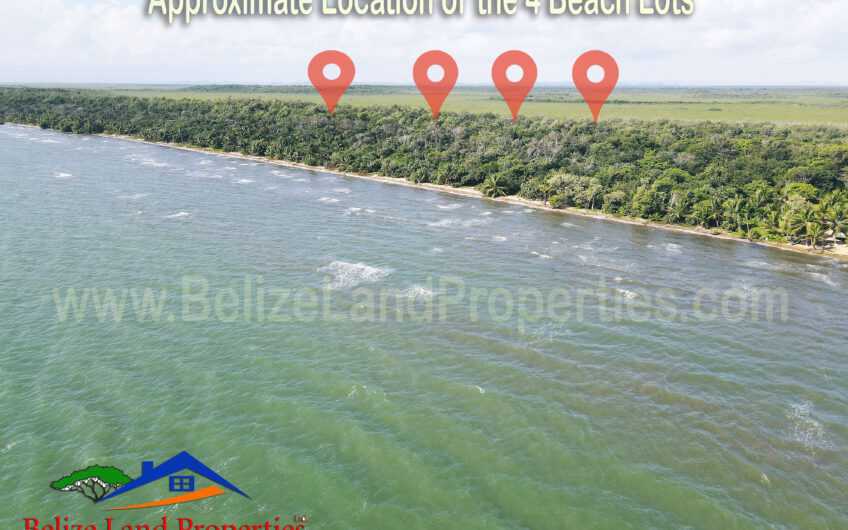 Beachfront-Real-Estate-For-Sale-Belize-Land-848x530