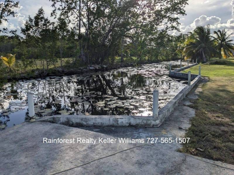 Belize-Home-Corozal-Four-Mile-Lagoon34