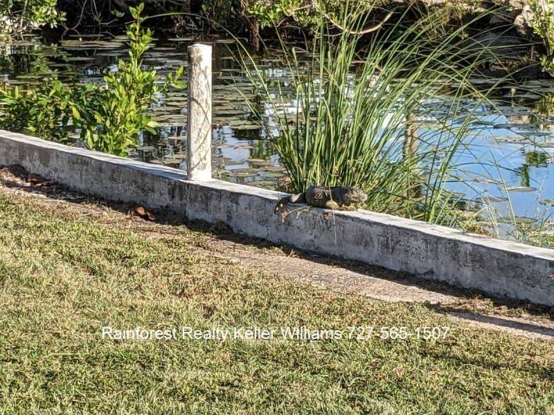 Belize-Home-Corozal-Four-Mile-Lagoon5