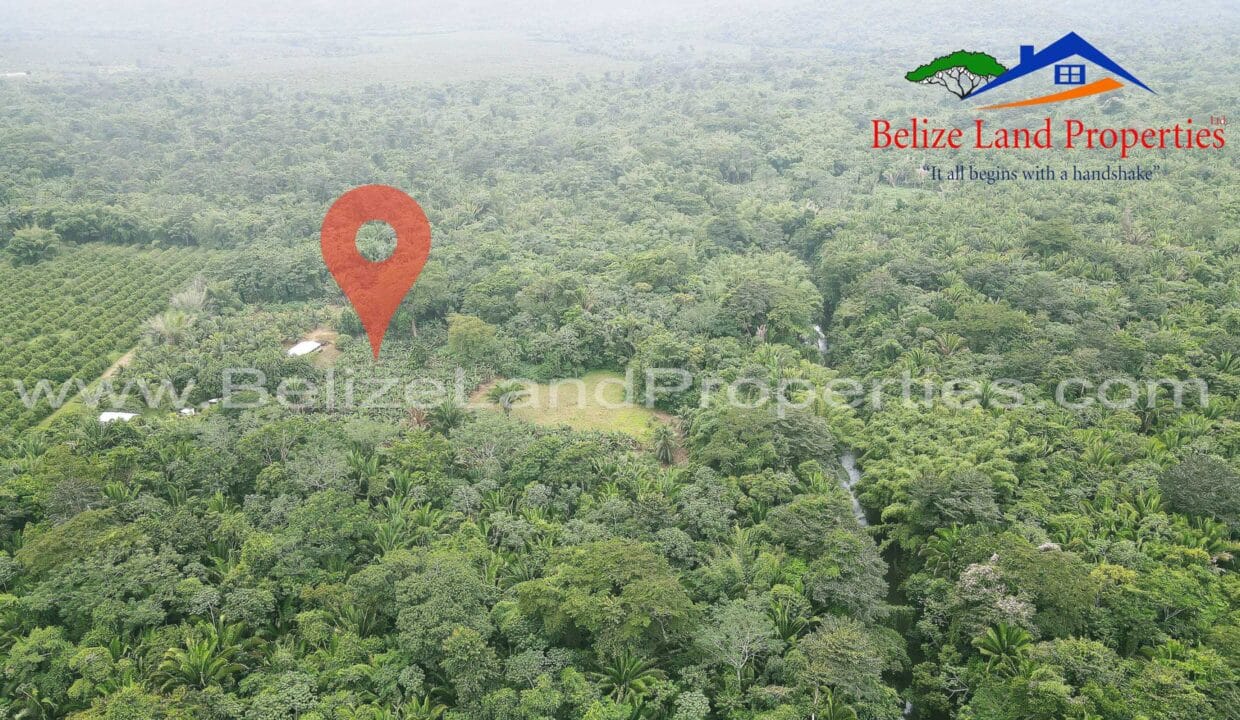 Belize-Real-Estate-Farm-Property-For-Sale-scaled