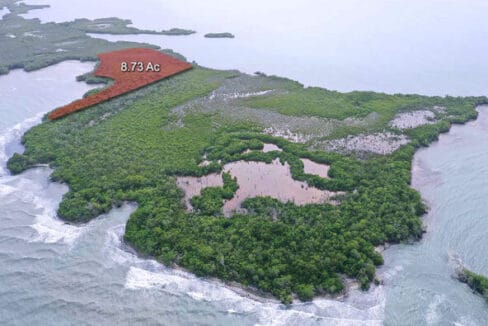 Cayo-belize-rel-estate-592x444