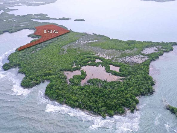 Cayo-belize-rel-estate-592x444