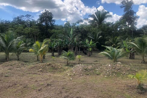 Farm-in-Belize