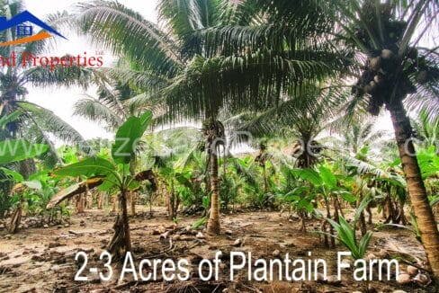 Farm-in-Belize-For-Sale-scaled