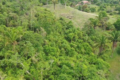 Farm-in-Belize-for-Sale