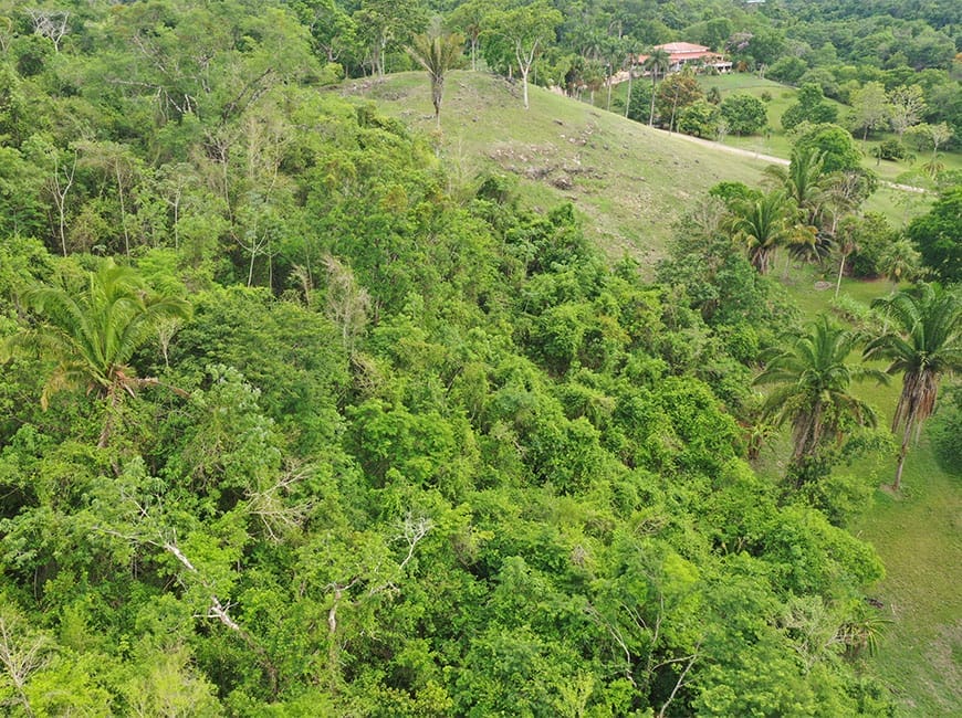 Farm-in-Belize-for-Sale