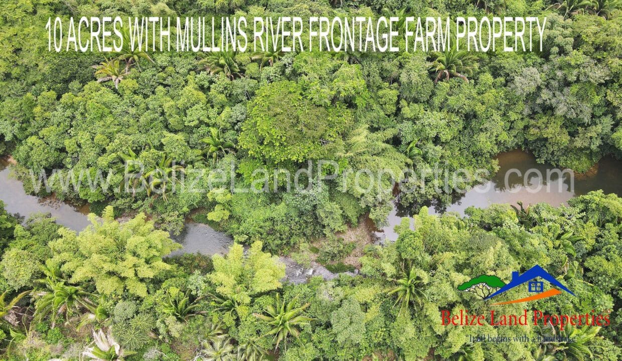 Farmland-For-Sale-in-Belize-Mullins-River-scaled