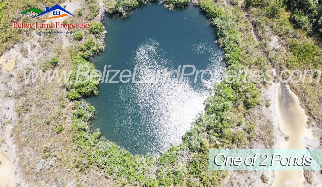 Farmland-With-Pond-for-Sale-in-Orange-Walk-Belize