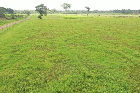 Farmland-in-Belize-1170x785