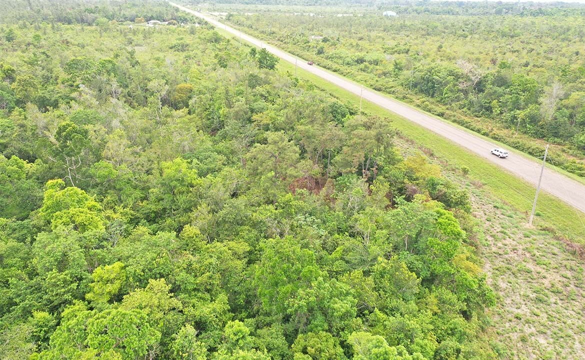 Hopkins-Belize-Real-Estate-1170x785