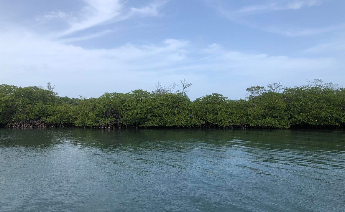 Island-for-sale-in-Belize-1-1170x785