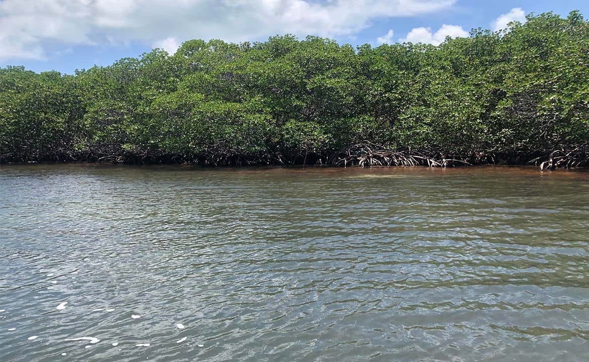 Island-for-sale-in-Belize-1170x785