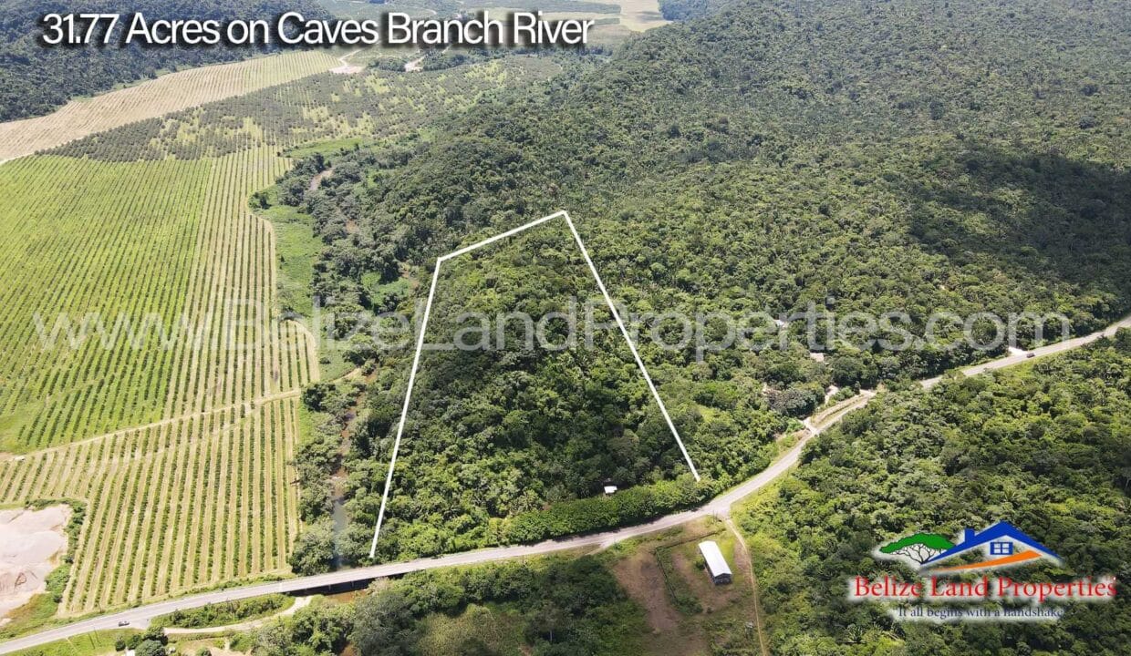 Jungle-and-River-Belize-Real-Estate-For-Sale