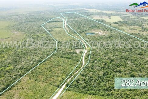 Land-Belize-for-sale-for-farm