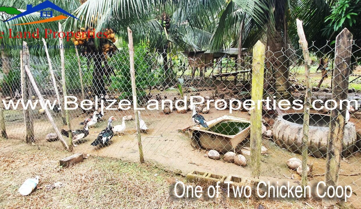 Land-for-sale-in-Mullins-River-Belize-scaled