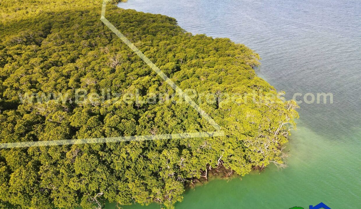 Mapp-Caye-Island-Property-For-Sale-in-Belize-scaled