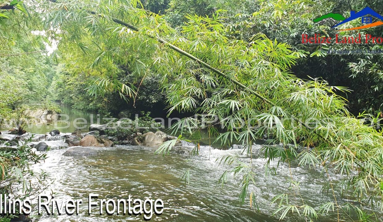 Mullins-River-Front-of-Farmland-Property-For-Sale-in-Belize-scaled