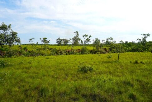 Nova20Toledo20826920Acres20Seafront20Land20for20Sale20in20Belize20033-1