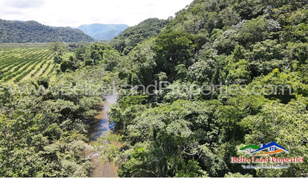 Property-along-Hummingbird-Highway-for-sale-in-Belize