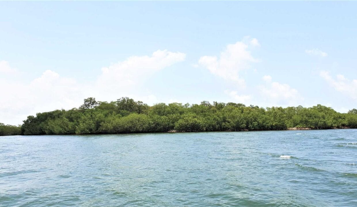 Property-at-the-Mouth-of-Creek-to-Anderson-Lagoon