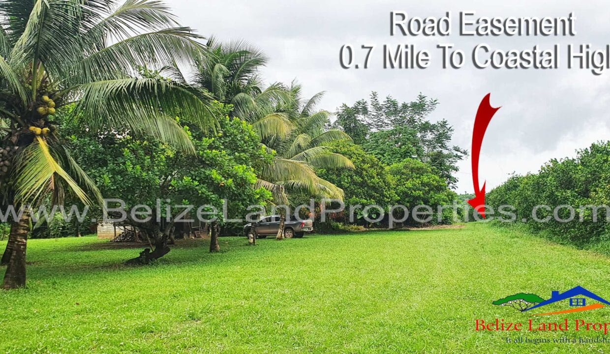 Property-off-the-Coastal-Road-along-Mullins-River-for-sale-in-belize-scaled